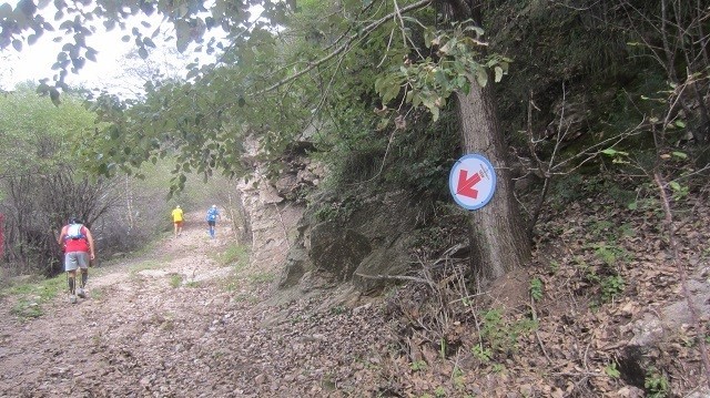 2016 RW50五岳寨越野 我的第一个越野赛