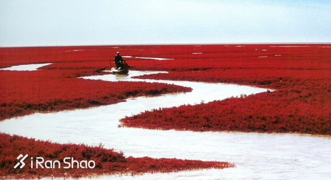 每月推荐 | 秋老虎我不怕 爱燃烧九月跑步歌单