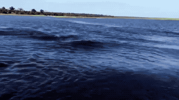 马拉松赛前训练补水小贴士