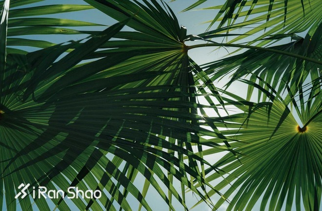 经验 | 知道这些夏天跑步不纠结