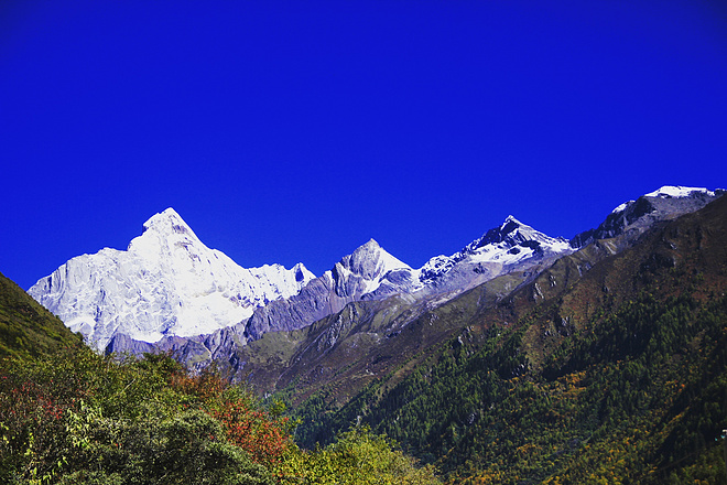 UTMS赛记 | 心之所向，素履以往