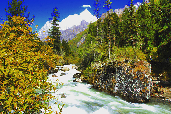 UTMS赛记 | 心之所向，素履以往