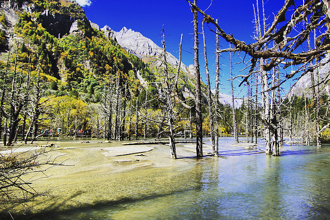 UTMS赛记 | 心之所向，素履以往