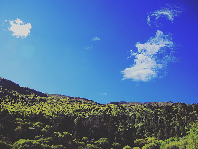 UTMS赛记 | 心之所向，素履以往