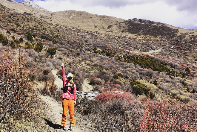 UTMS赛记 | 心之所向，素履以往