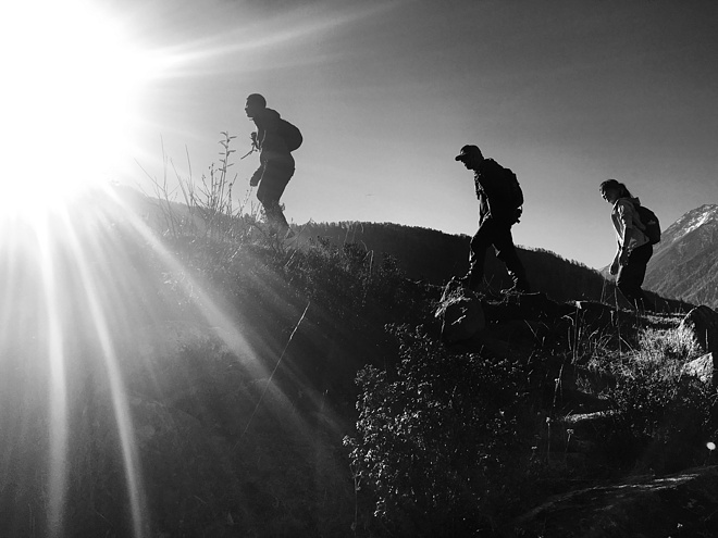 UTMS赛记 | 心之所向，素履以往