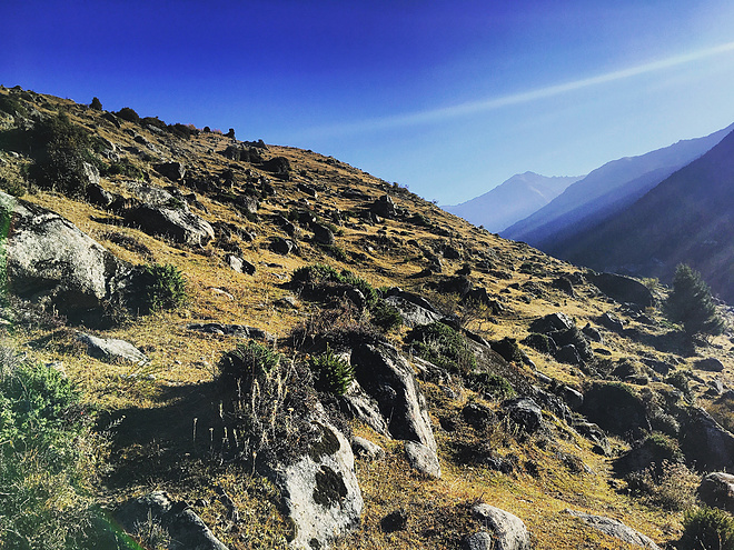 UTMS赛记 | 心之所向，素履以往