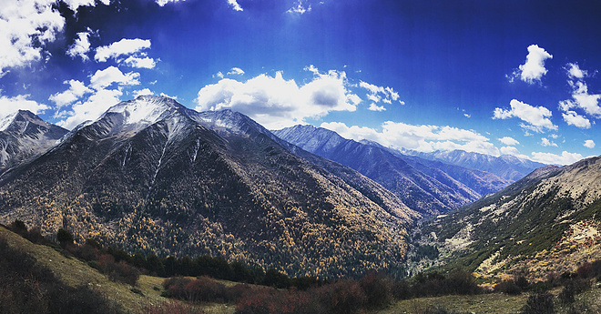 UTMS赛记 | 心之所向，素履以往