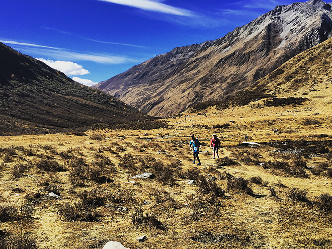 UTMS赛记 | 心之所向，素履以往