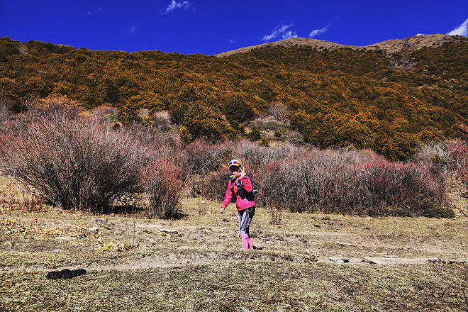 UTMS赛记 | 心之所向，素履以往