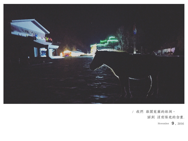 UTMS赛记 | 心之所向，素履以往