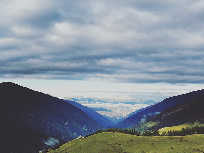 UTMS赛记 | 心之所向，素履以往