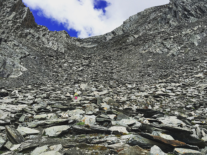 UTMS赛记 | 心之所向，素履以往