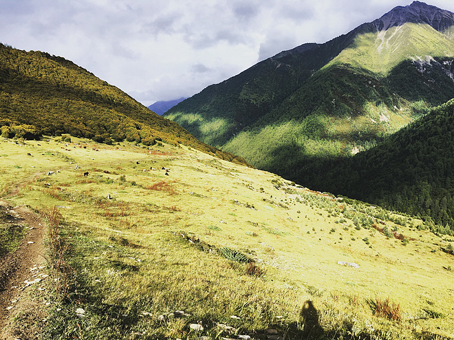 UTMS赛记 | 心之所向，素履以往