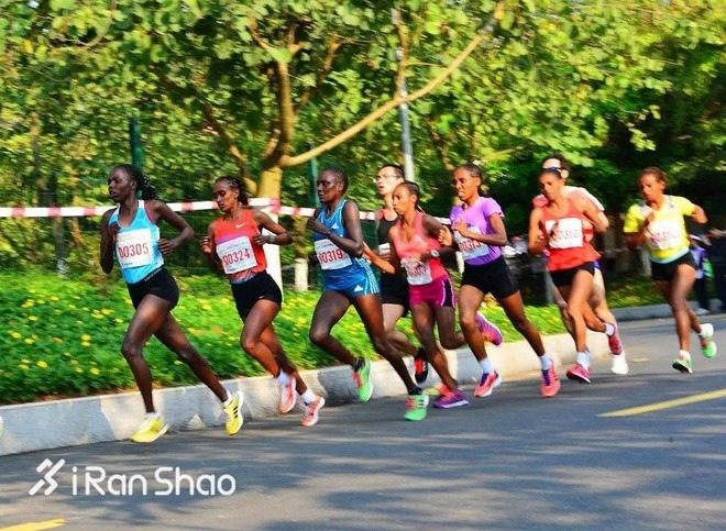 经验 | 新手准备马拉松训练 不可不注意的6点事项