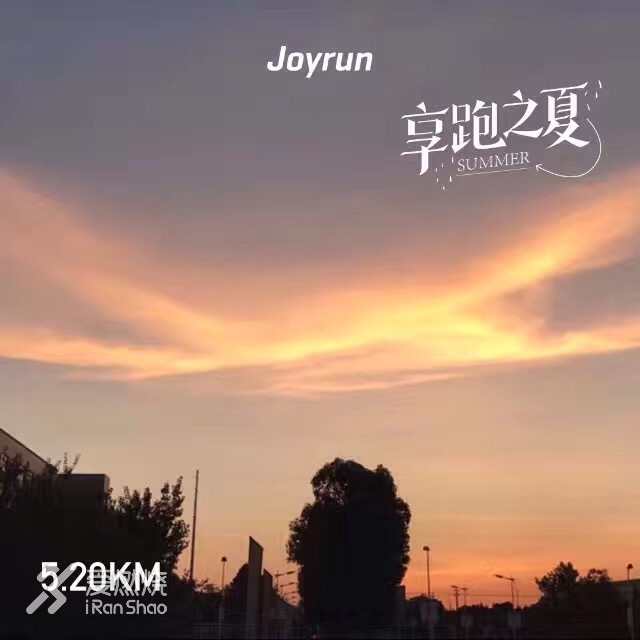 向爱而生，你是我的软肋，亦是我的盔甲