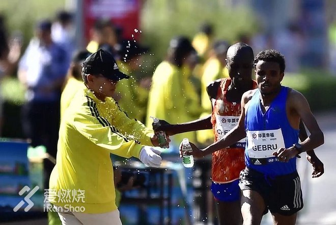 向爱而生，你是我的软肋，亦是我的盔甲