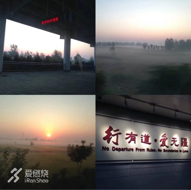 向爱而生，你是我的软肋，亦是我的盔甲