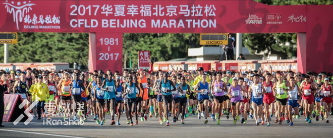 北马的涅槃：别让“马”跑你