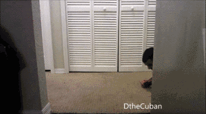 2017北京马拉松之胜利边缘