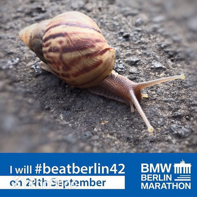 热点 | 世界最快马拉松开赛在即 柏林迎来世纪对决