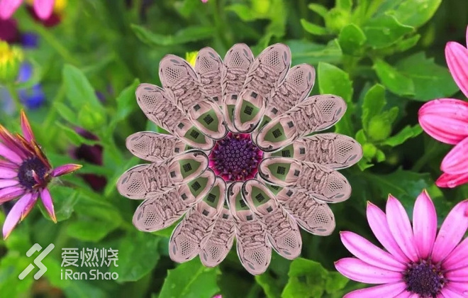 首马：用42.195的幸运来宠爱勇敢的自己