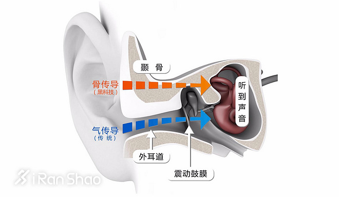 现场 | 运动耳机新选择 韶音Trekz Air解锁骨传导新姿势