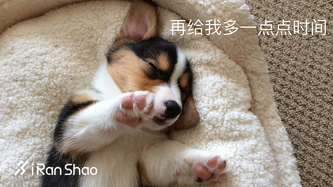 经验 | 备战北马 也许你们都忽略了最重要的一件事