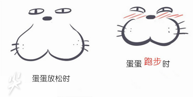 尖货Q&A：Vol.06 跑步时男生会磨蛋么？