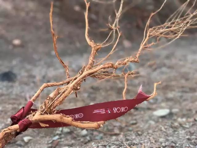 2017魔山挑战 | 翻山越岭，遇见最美山野、遇见和自己一样热爱山野的人