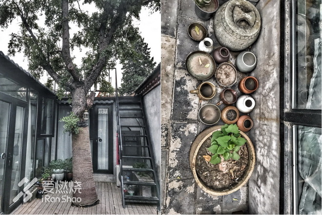 右脚向前，左脚向前，北京的这个秋天