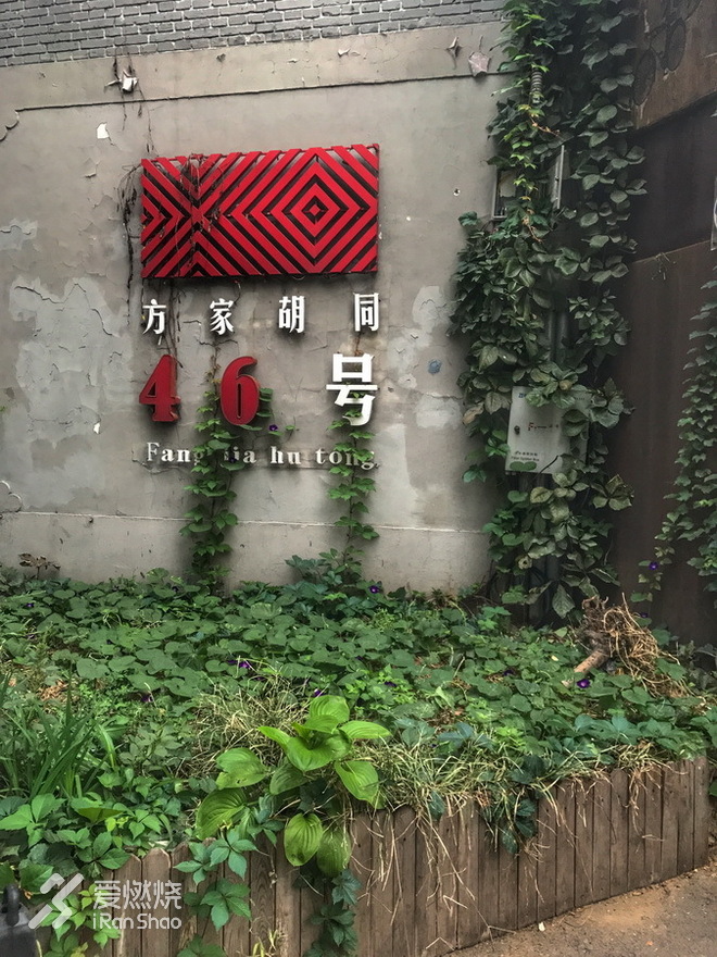 右脚向前，左脚向前，北京的这个秋天