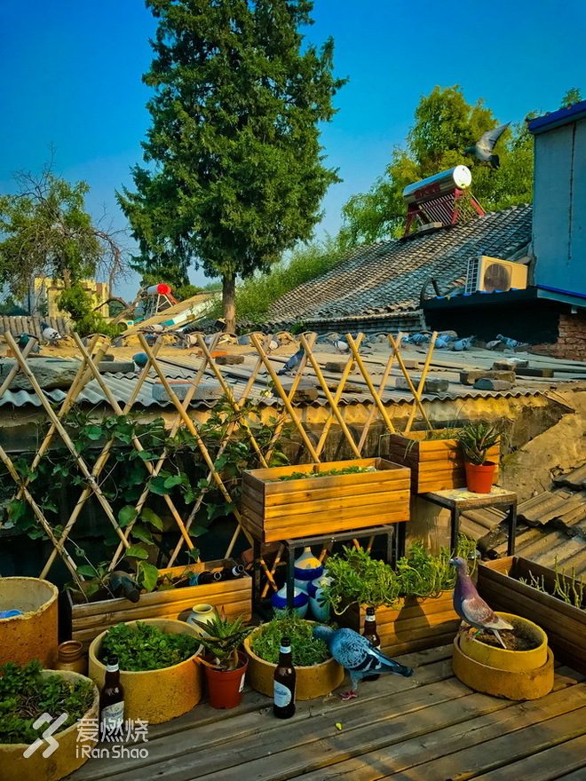 右脚向前，左脚向前，北京的这个秋天