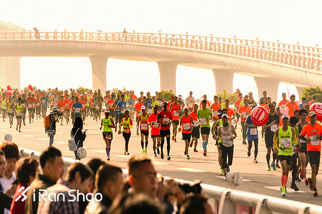 独家 | 最美赛道全马专属 一张图看懂2018厦门马拉松