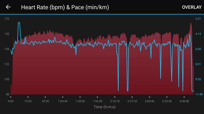 背靠背双马和PB献给我的首个北马