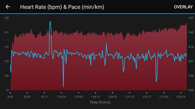 背靠背双马和PB献给我的首个北马