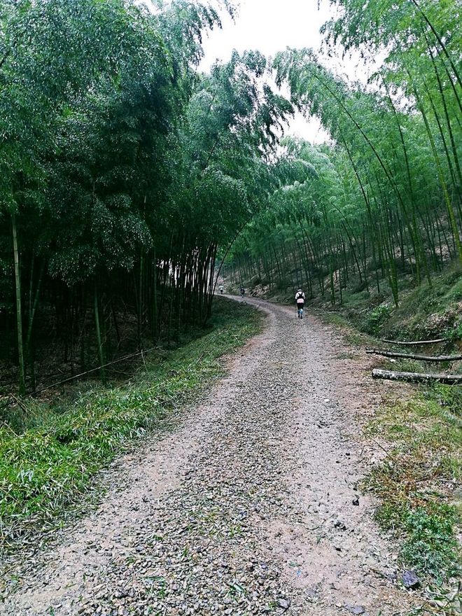 《送给那些想知道我们的人》