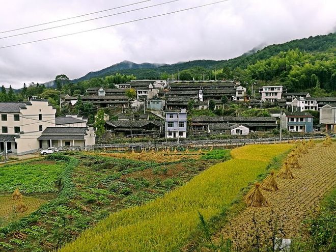 《送给那些想知道我们的人》