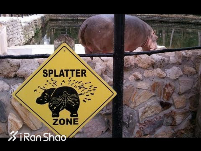 经验 | 越野跑比赛有哪些常备OTC（非处方药）