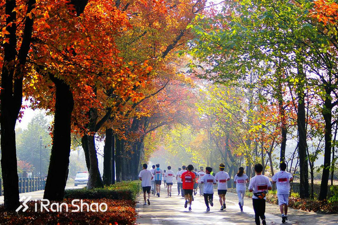 每月推荐 | 下着雪的我的雨 爱燃烧十一月跑步歌单