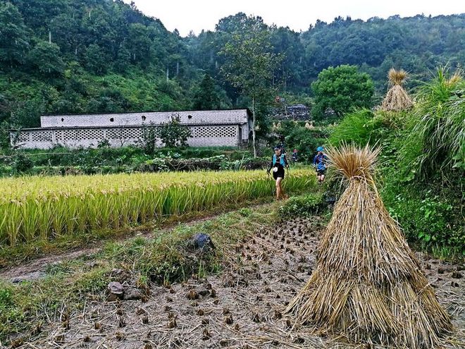 《送给那些想知道我们的人》