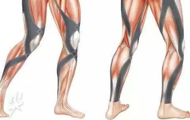 尖货Q&A：Vol.10 压缩衣的高科技真的有效么？