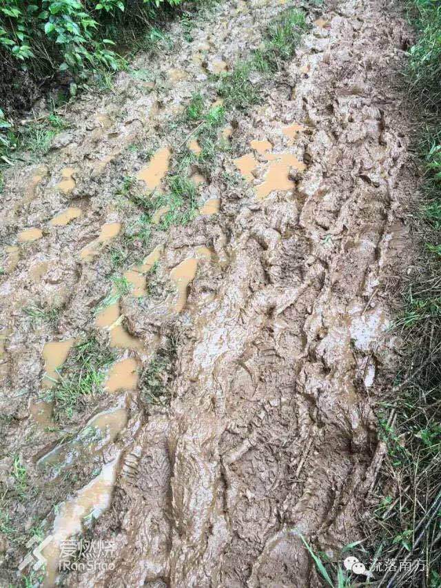 山野虐我千万遍，贼心不改得始终———宁海50惊心动魄完赛记