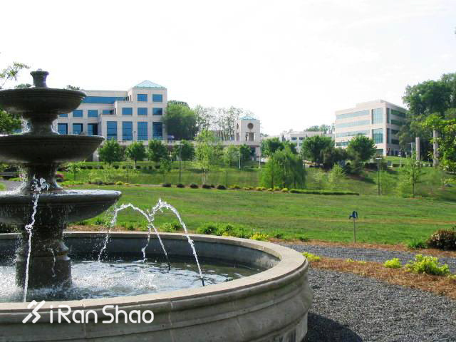 TopX | 感恩节来袭 北美那些你可以尝试的火鸡跑