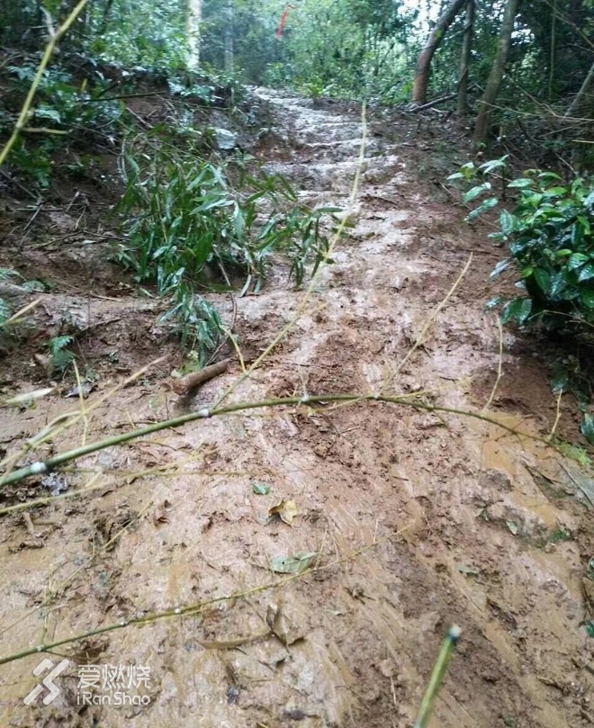 记人生第一个100公里-宁海100越野挑战赛