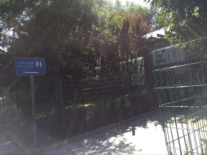 再次参加北马，没想到竟然是这样一个结果