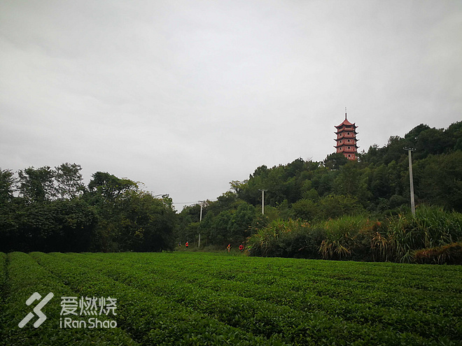 Toby大叔的2017秋季宁海越野赛记