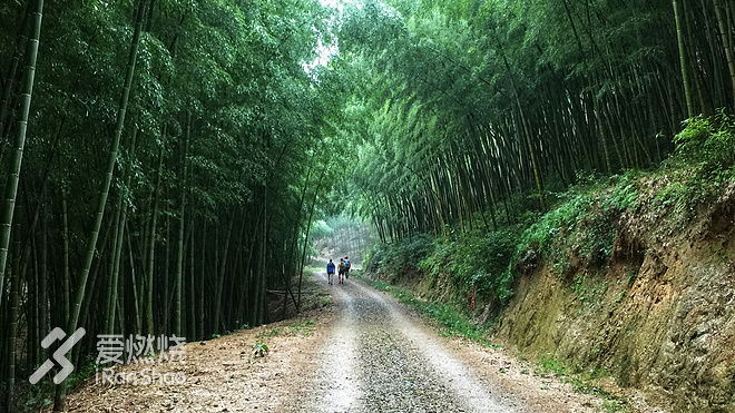 独狼复仇，奋战3次，终于吃鸡 —— 2017UTNH战记