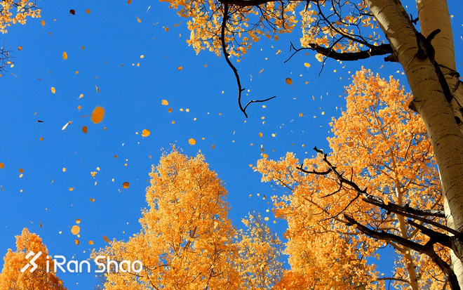 数据 | 2017年9月爱燃烧赛事平台数据分析