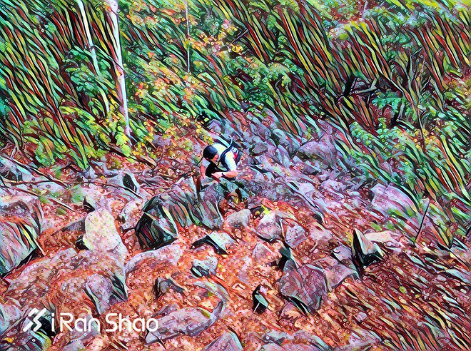 北美超马故事 | 在深处（上）